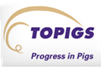 TOPIG
